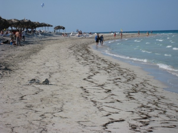 CUBA 2008 031