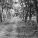 1956 : ons huis in RUGOMBO, de toegang