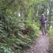 NZ D5 Peel Forest (5)
