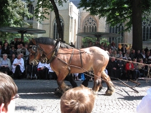 Brugge H. Bloed processie 2009 094