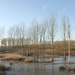 DSC_1550 Overstromingsgebied in de winter Hamme