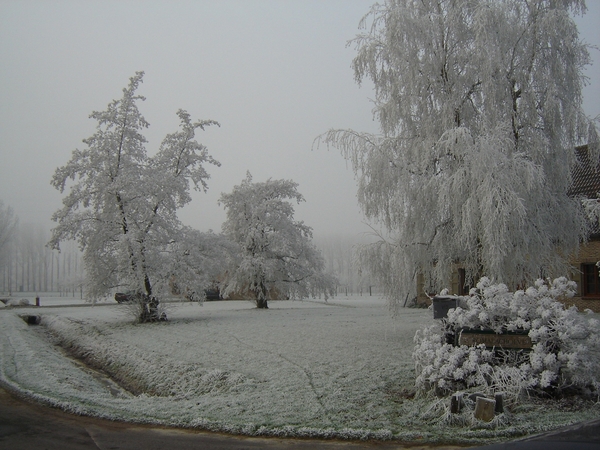 winter 2007 005