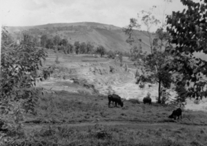 Rwanda: zicht