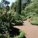 Madeira _Engelse tuin 2   - (Medium)