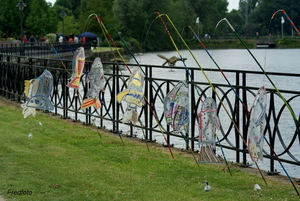 Dag van het Park2009-Roeselare
