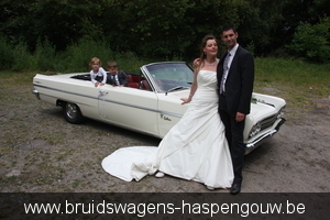 LANDEN oldtimers ceremoniewagens bruidswagens