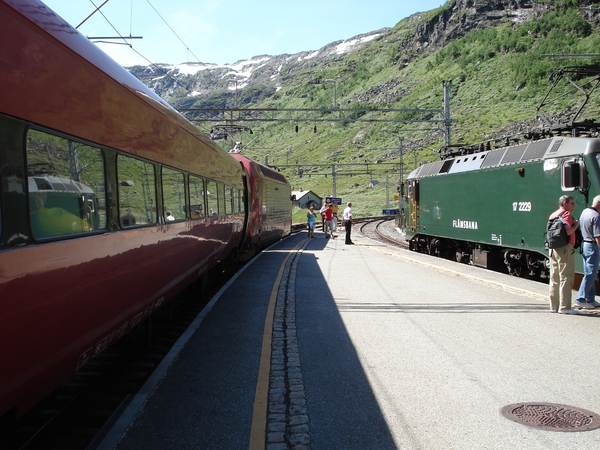 Station Myrdal met aansluiting Oslo-Bergen