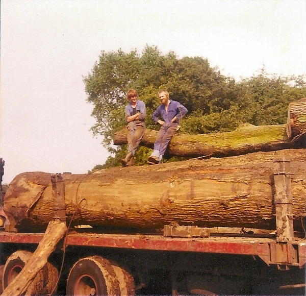 Bomen transport
