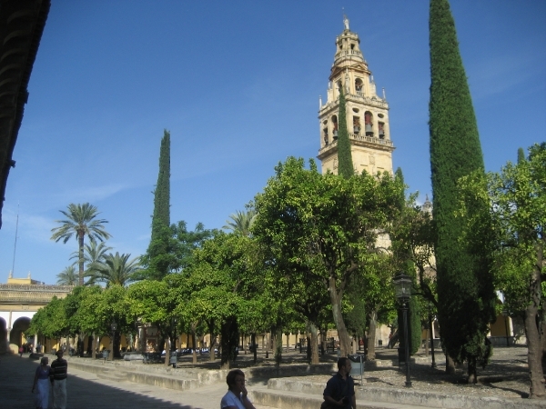 Reis Madrid en Andalusie 106