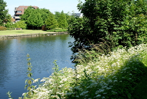 Foto-Stadspark-Roeselare