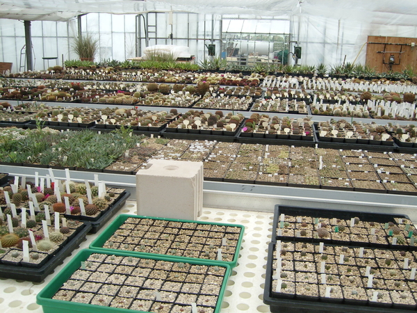 Eden-Plants in Heinsberg  2