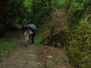 Cantal auvergne (27)