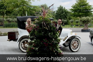 DILBEEK oldtimers bruidswagens voitures de ceremonie