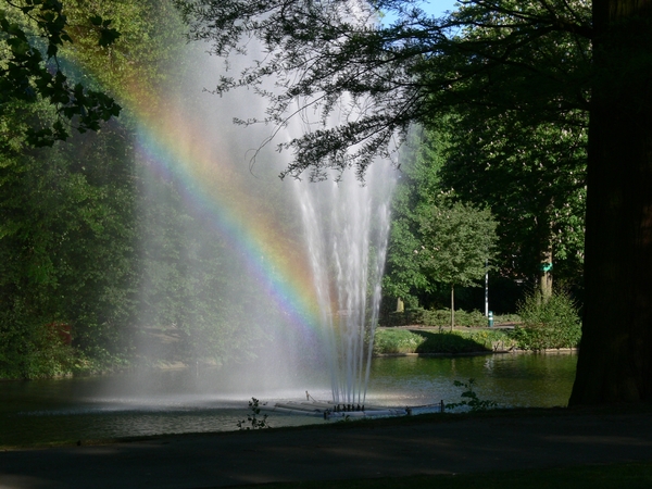 Regenboog, Park, Natuur