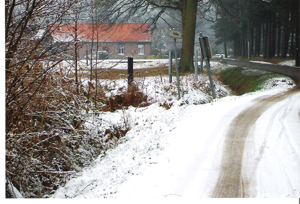 Winter in Vorstheide in Herselt