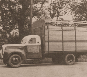 Ford Truck