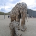 De Panne : Andries Botha   (olifant met baby)