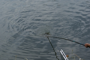20070604-Watersportbaan vissen 032