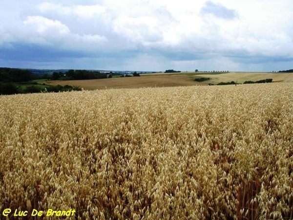 Ardennen Adeps wandeling Laneffe