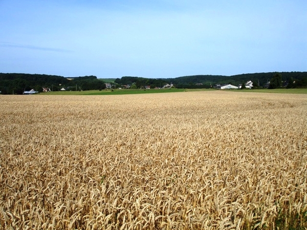 Ardennen Adeps wandeling Dene