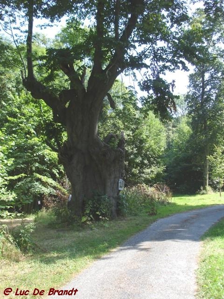 Ardennen wandeling Ermeton-sur-Biert