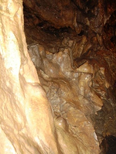 Fromelennes grottes du Nichet