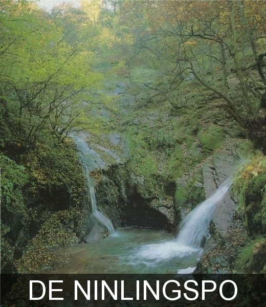 Ninlingspo  hoogste waterval van Belgie