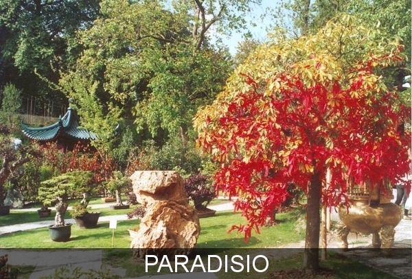 Paradisio chinese tuin 1