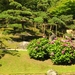 Japanse tuin 06-08-09 048