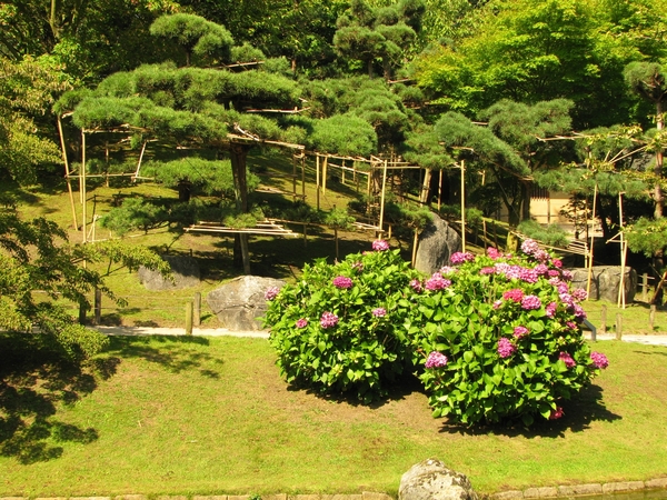 Japanse tuin 06-08-09 048
