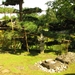 Japanse tuin 06-08-09 090