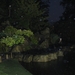 Nocturne Japanse tuin 035