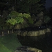 Nocturne Japanse tuin 036