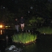 Nocturne Japanse tuin 038