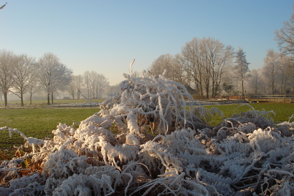 Kerststallentocht 024