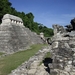 1587703-Palenque-1