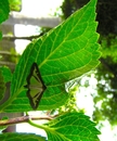 P5310006