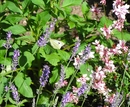 P6250061