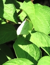 P6250072